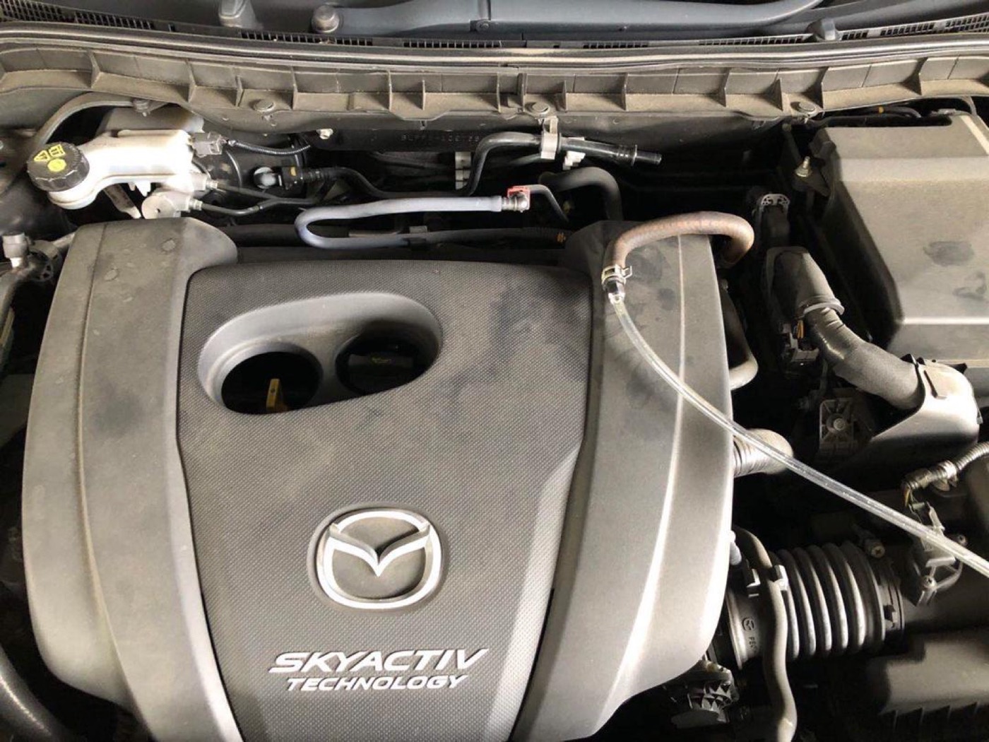 Engine Detoxers HHO carbon cleaning service photo